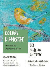 «Colors d’Amistat «una exposición solidaria de Montserrat Soler