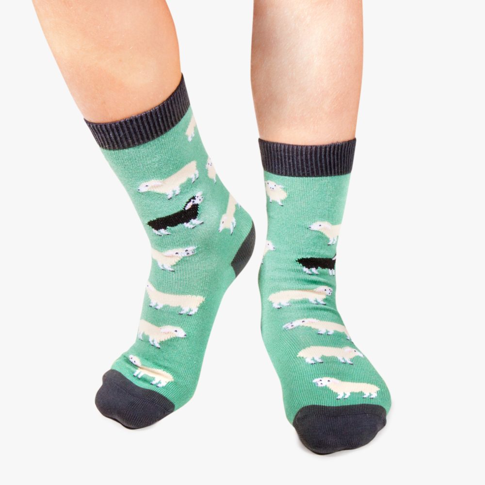 Calcetines Jimmy Lion- infantiles - Imagen 3
